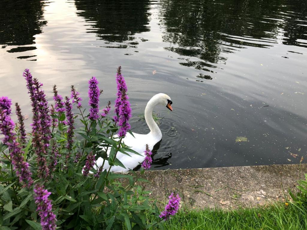 Cozy Double Bedroom In Stunning Bungalow On River Thames - Near Thorpe Park/Royal Holloway University/20Mins From Heathrow Staines-upon-Thames Luaran gambar